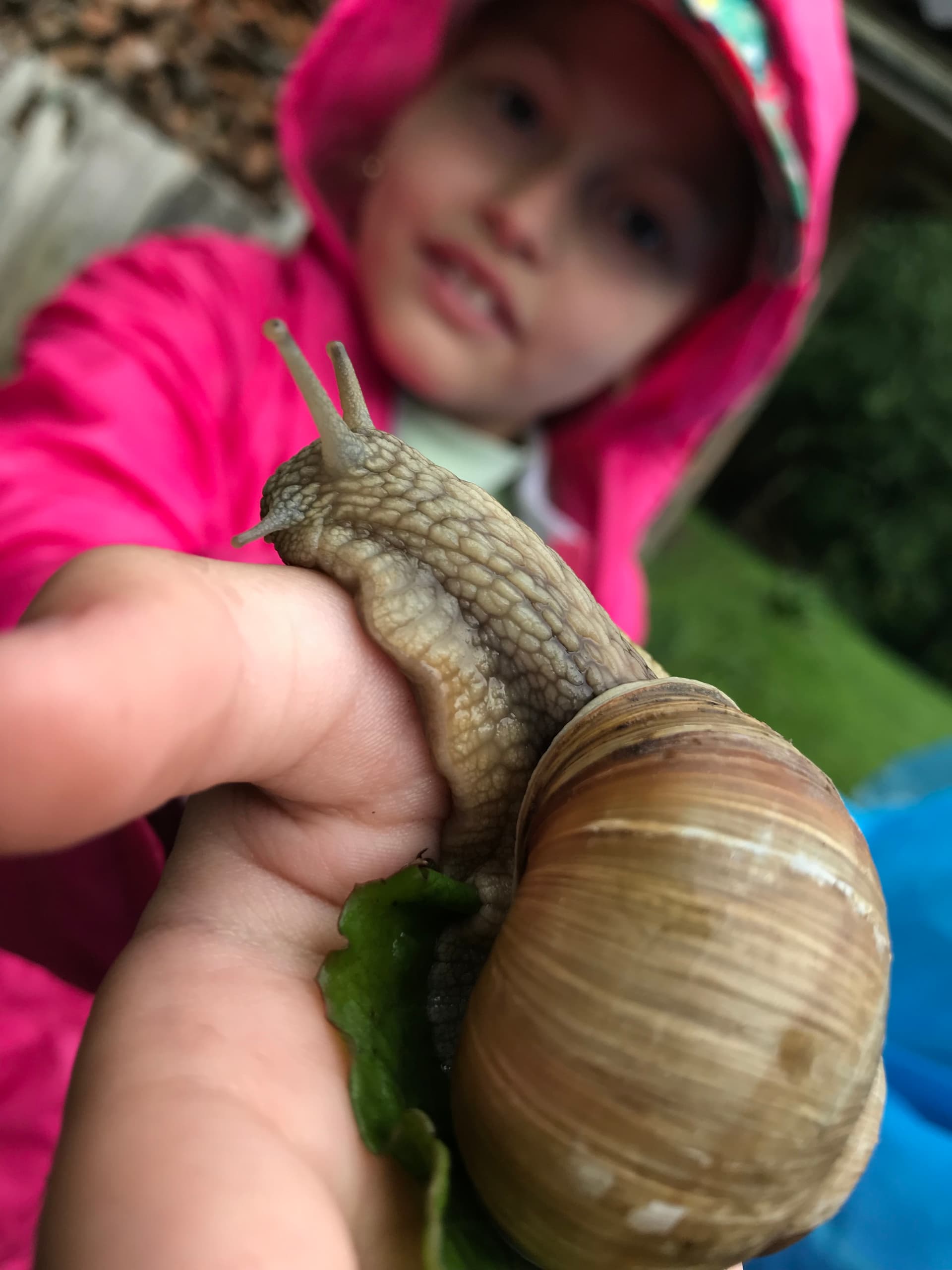 Фото з дитячого табору Eco Holiday в Карпатах - активності та відпочинок дітей 20