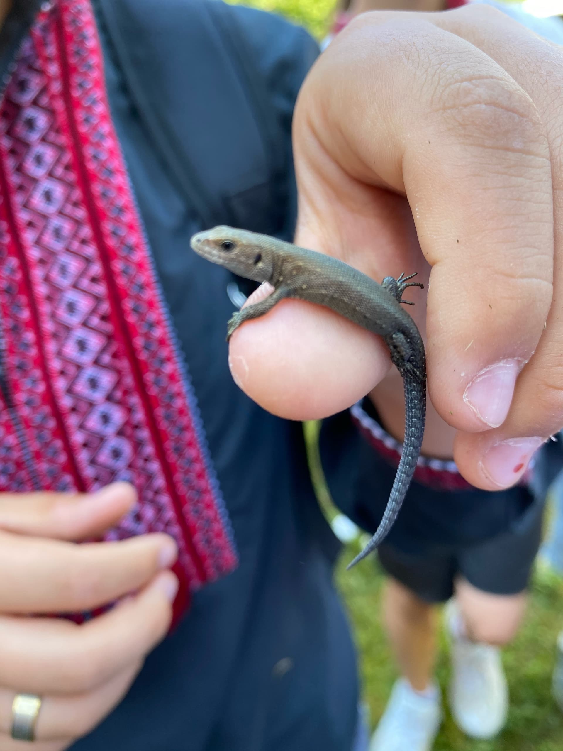 Фото з дитячого табору Eco Holiday в Карпатах - активності та відпочинок дітей 8